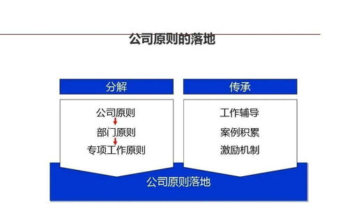 龍湖企業(yè)管理與運(yùn)營(yíng)精細(xì)化管理 提升企業(yè)競(jìng)爭(zhēng)力的關(guān)鍵路徑